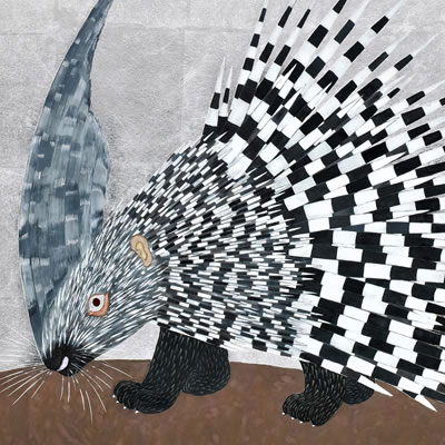 「ハリネズミ」