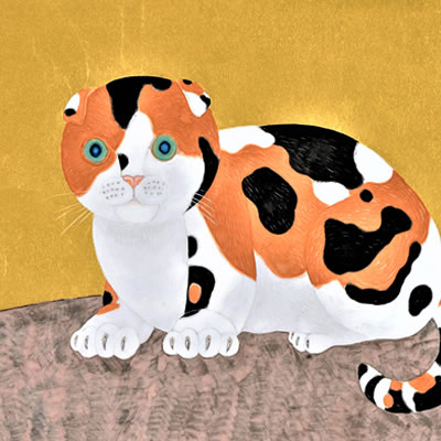 「三毛猫」