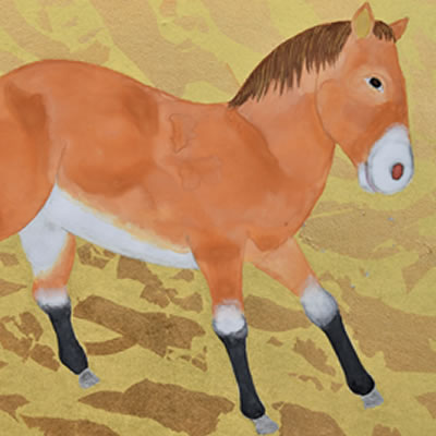 「野馬」